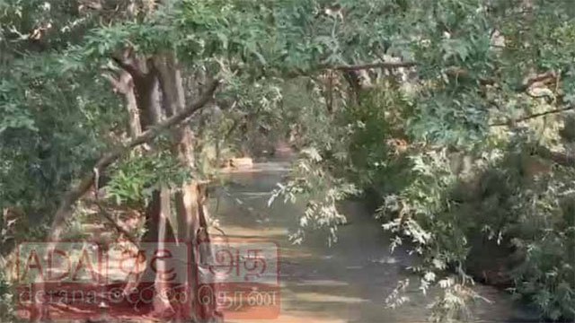 18-year-old monk drowns while bathing in Kirindi Oya
