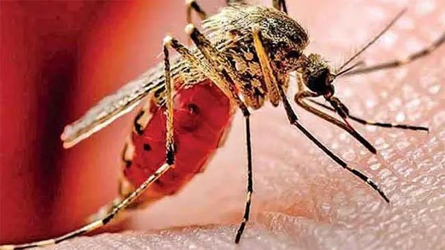 Dengue toll reaches 62 as cases pass 84,700