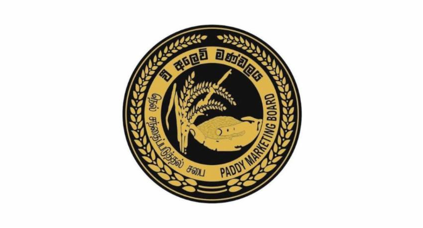 Paddy Marketing Board buys 7,267MT in two weeks through 71 centres