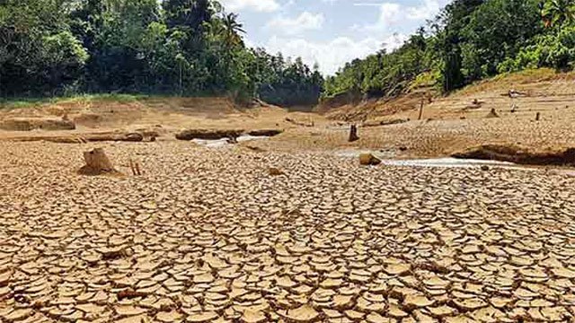 Dry weather damages crops in four provinces as parks turn to water bowsers