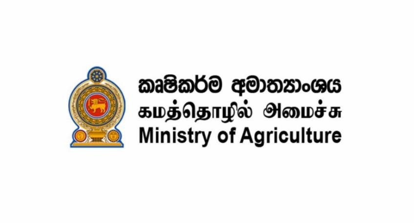 Agriculture Ministry prepares cultivation plan to protect food security under El Niño