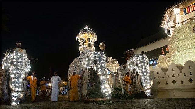 Gazette on providing captive elephants for Peraheras in final stages
