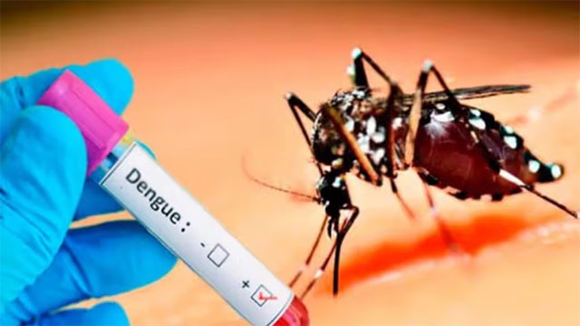 Sri Lanka's dengue cases pass 95,000 as the death toll holds at 72