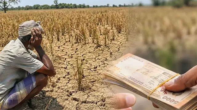 Dry weather damages 8,000 acres of crops, 7,000 farmers affected