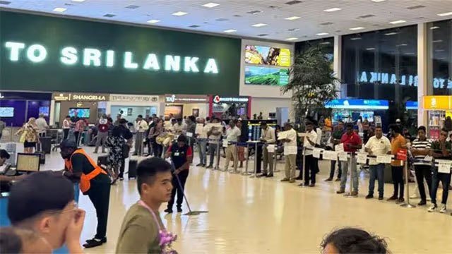 Sri Lanka tourist arrivals pass 1.46 million for 2026