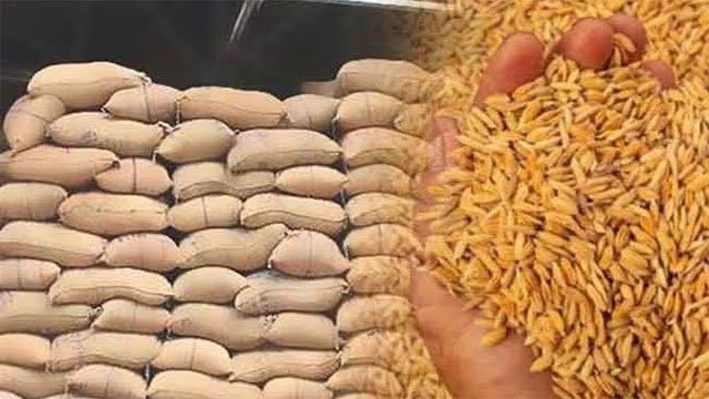 State paddy purchases pass 46,000 tonnes as buying extends to mills and cooperatives