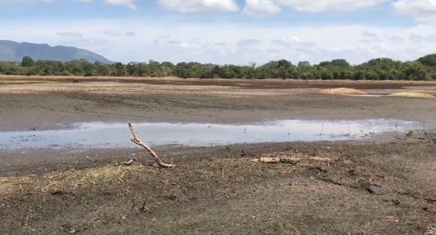 Trincomalee tanks run dry as villagers ration the last water for wildlife