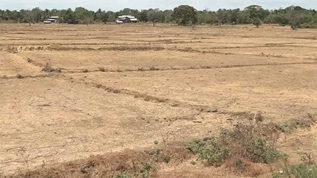 Drought drops Parakrama Samudraya far enough to expose a submerged royal ruin