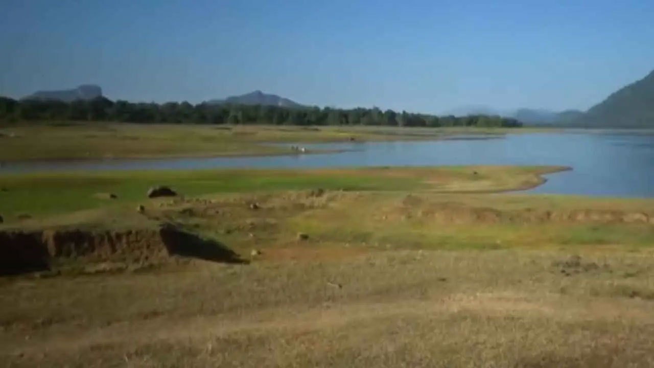 Ampara reservoirs fall to 21.5% as most of Sri Lanka's tanks drop below half capacity