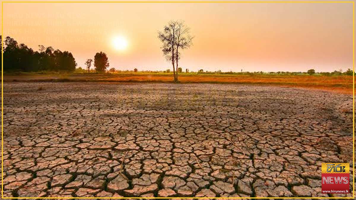 NARA now rules out El Niño in Sri Lankan waters, and rejects it as the cause of falling fish catches