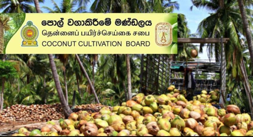 Coconut Cultivation Board sets aside Rs. 2.5 billion against El Niño crop damage