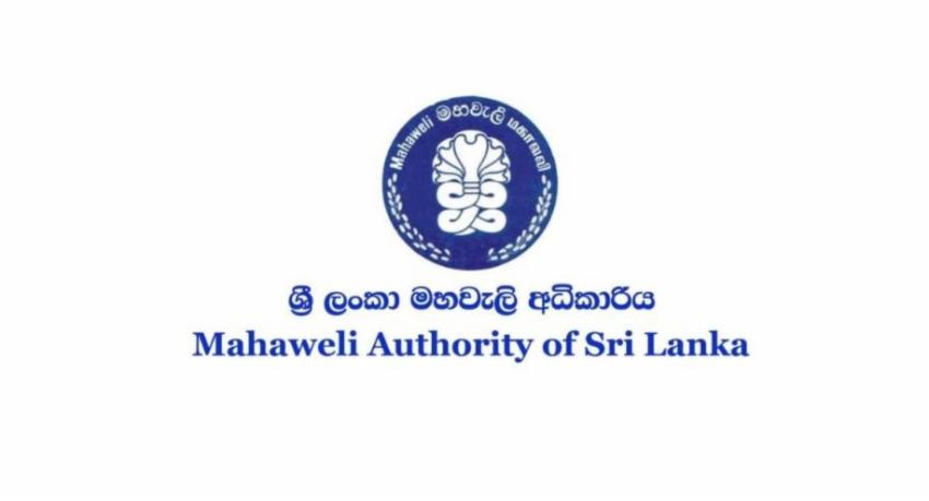 Mahaweli Authority asks farmers to use rainwater as Maha season releases begin