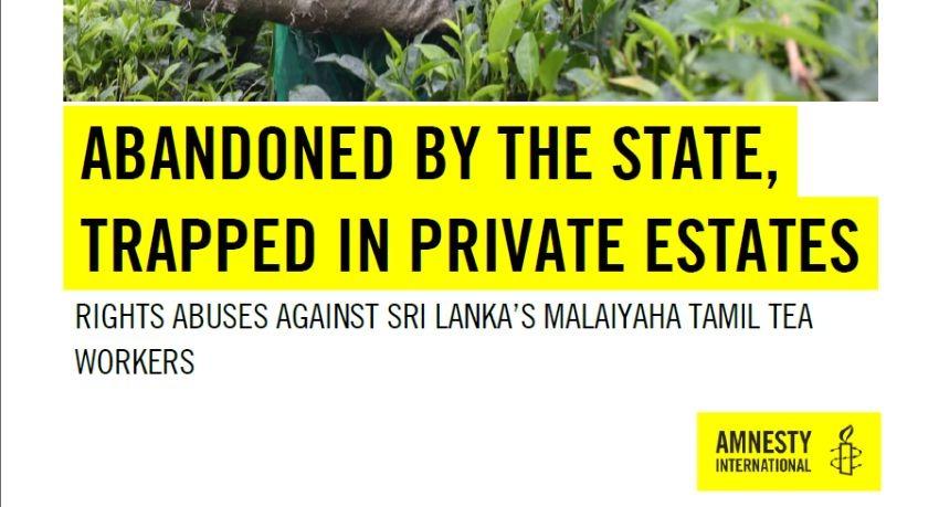 Amnesty flags forced-labour indicators on Sri Lanka tea estates