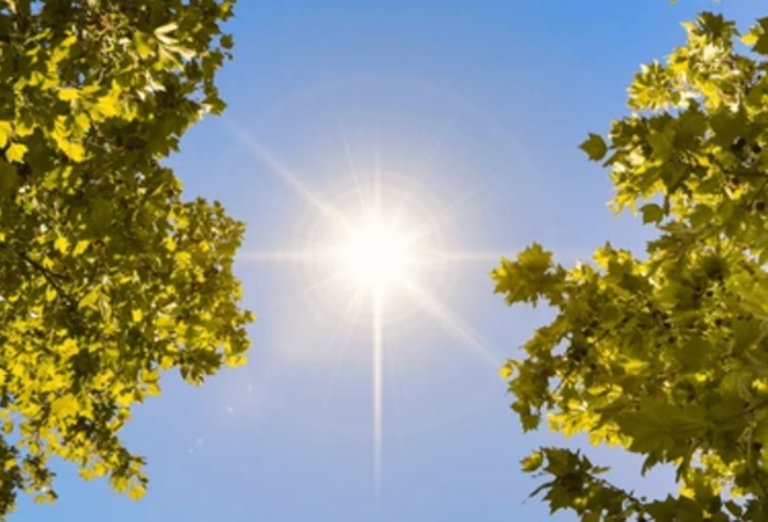 Caution-Level Heat Advisory Issued for 13 Districts on April 30