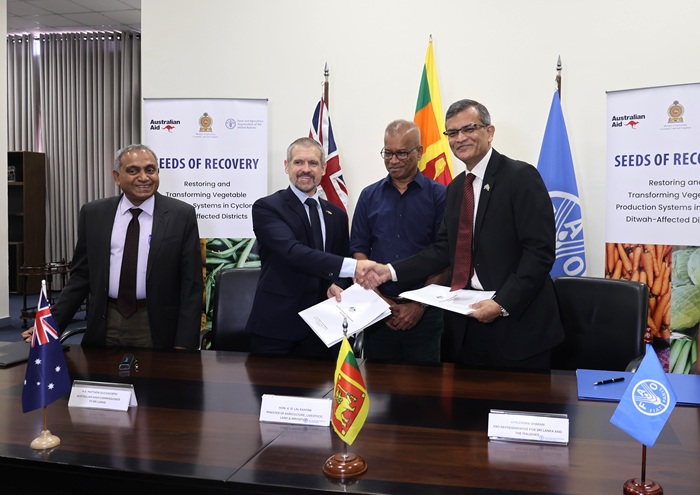 Australia and FAO launch AUD 2 million cyclone recovery project for highland vegetable farmers