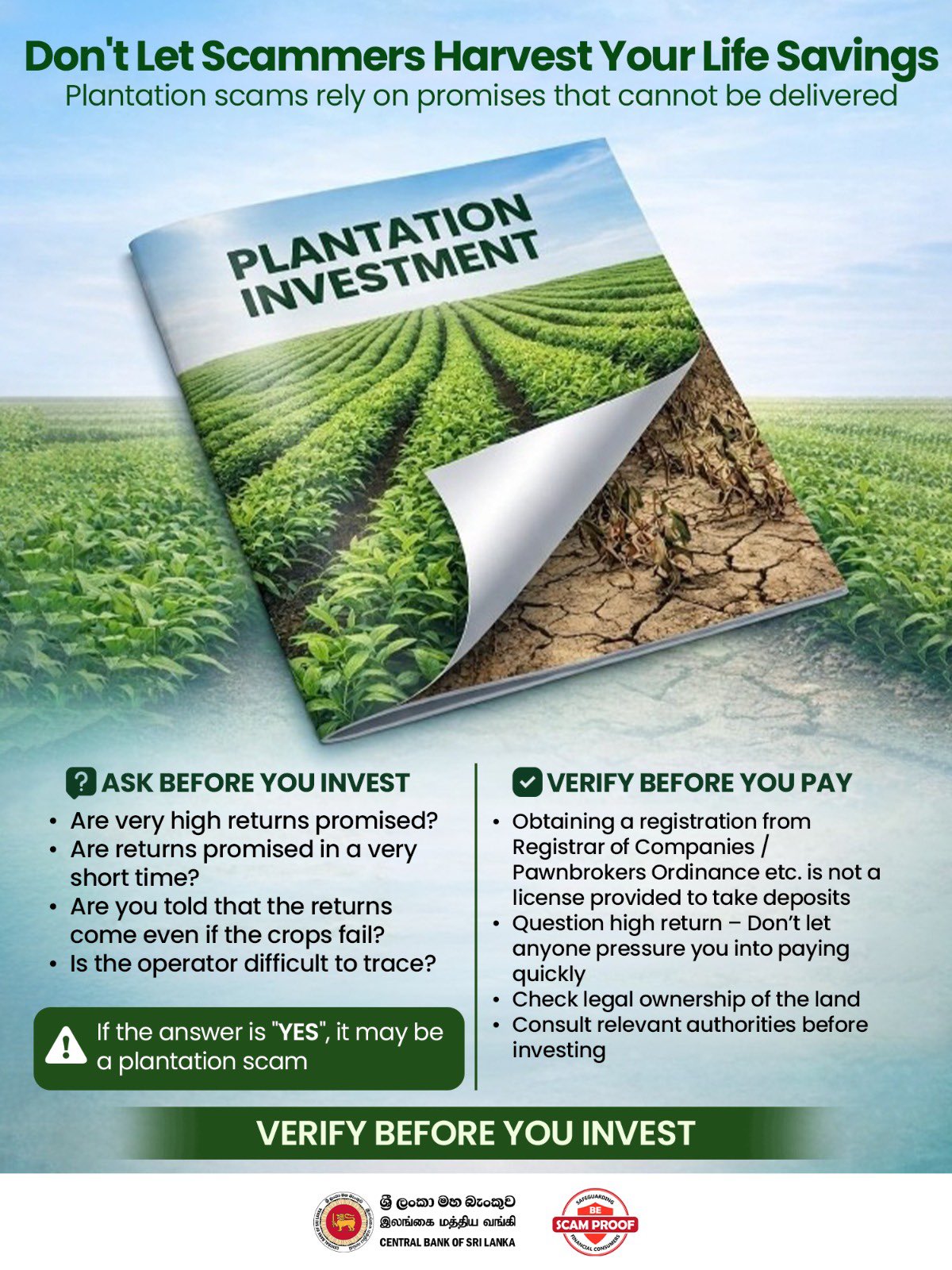Central Bank warns public over plantation investment scams promising high returns