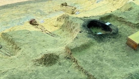 Chemmani excavation count rises to 260 sets of human remains
