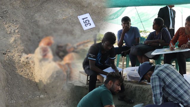 Chemmani becomes largest mass grave in Northern Province as remains reach 351