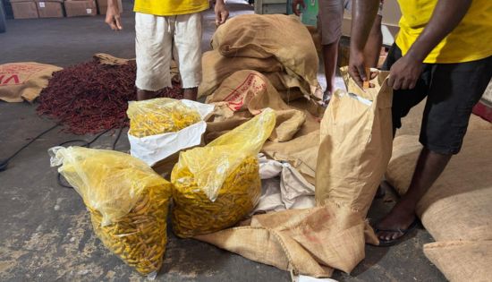 Customs seize 13,700kg of turmeric hidden inside chilli imports from India