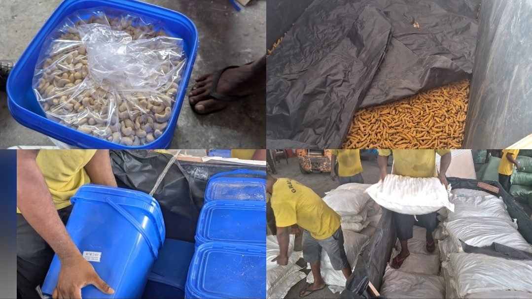 Customs find 16 tonnes of turmeric, 1.1 tonnes of cashew hidden in gypsum boards