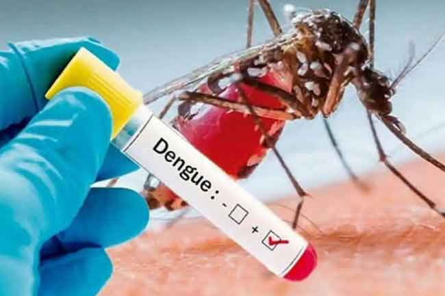 Sri Lanka dengue cases pass 33,500 with 19 deaths as Western Province carries half the load