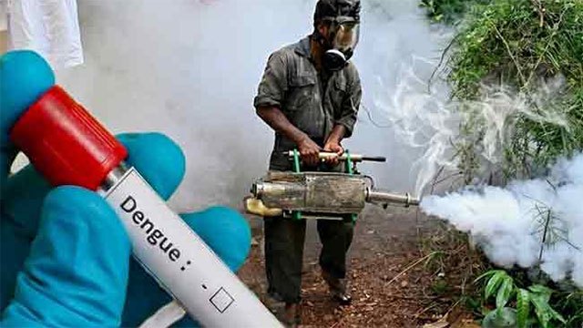 Dengue Cases Top 56,000 as June Sets a Single-Month Record