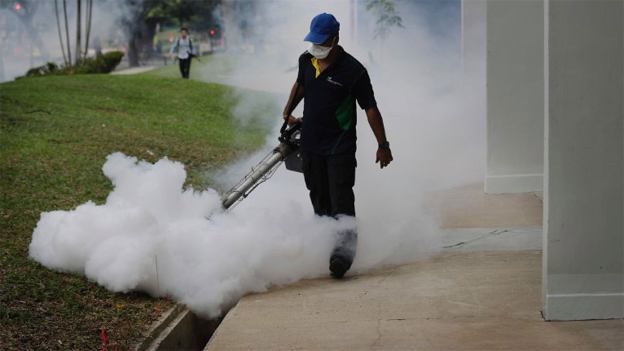 Dengue programme Day 1: larvae found in 50 state institutions and 2,097 premises