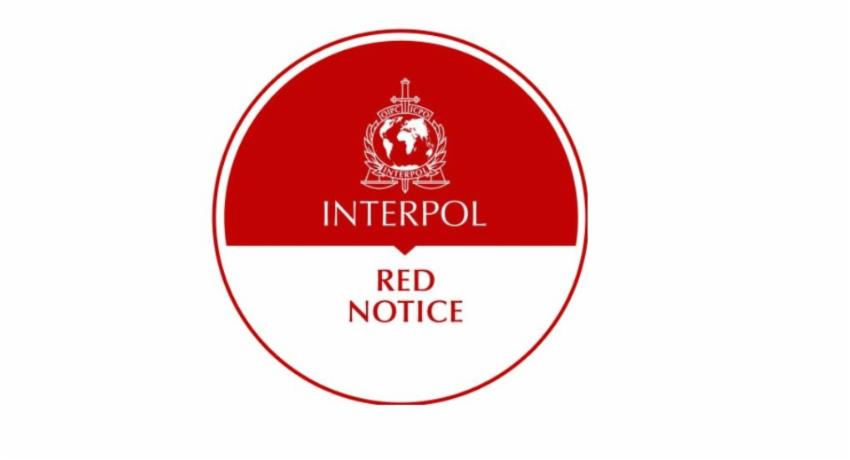 Two of 21 deportees from Dubai had Interpol red notices, police confirm