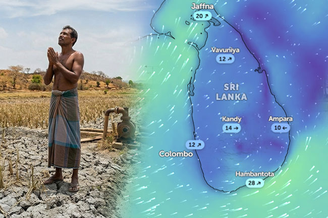 El Niño expected to develop during southwest monsoon — Met. Department