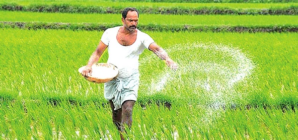 Fertilizer Secretariat denies overpriced import claims, cites global urea prices above USD 900