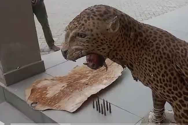 STF raid links former police DIG to leopard skin and ammunition cache