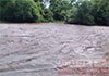 Flooding displaces families across 14 Grama Niladhari divisions in Galewela