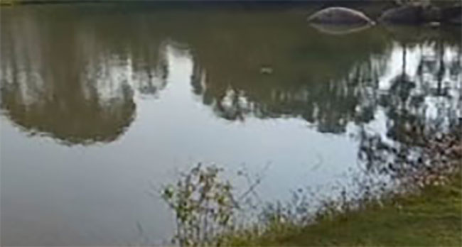 Two brothers from Haputale drown in abandoned Kekirawa quarry