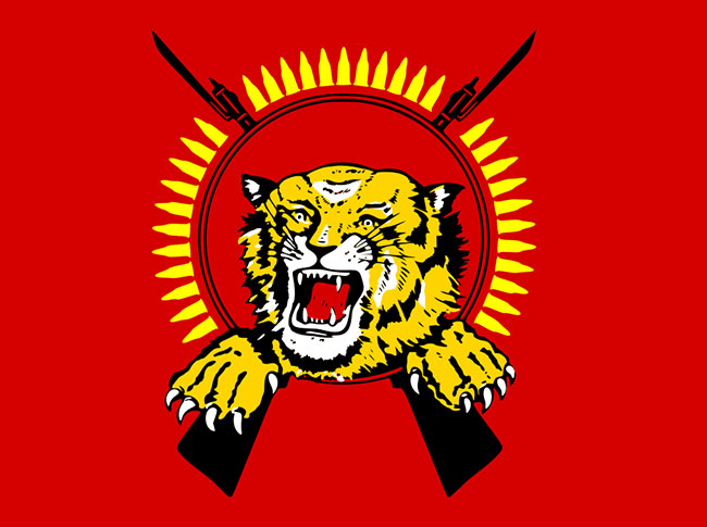Tamils mark LTTE defeat anniversary with remembrance events in North and East