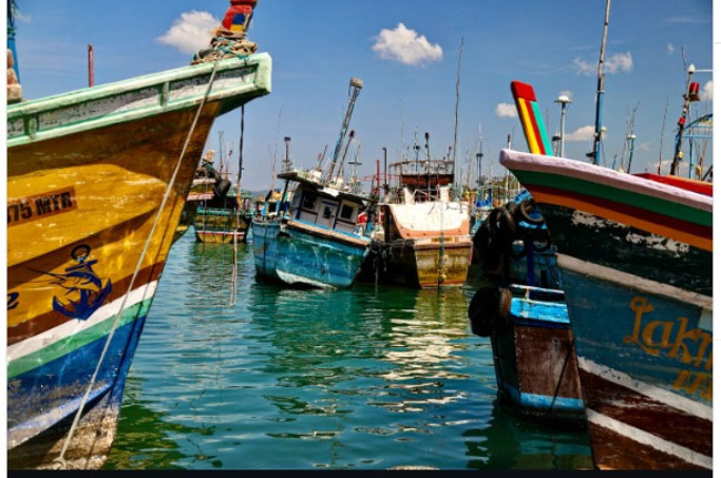 Navy Seizes 10 Drug-Trafficking Trawlers in First Quarter, Haul Worth Rs. 44 Billion