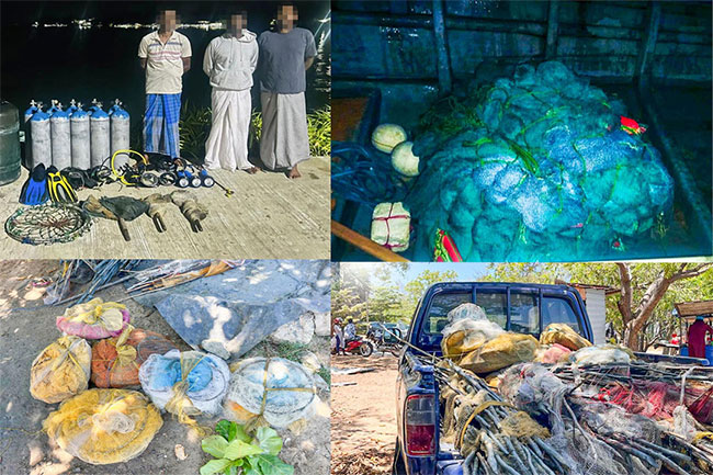 Navy Apprehends 41 in Fortnight-Long Crackdown on Illegal Fishing