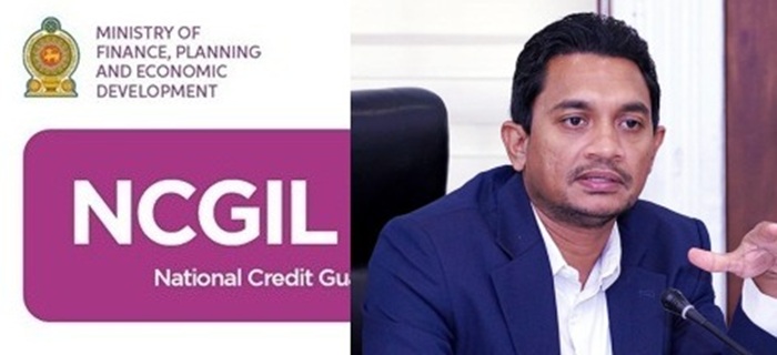 NCGI scheme lets SMEs borrow without collateral, Deputy Minister explains