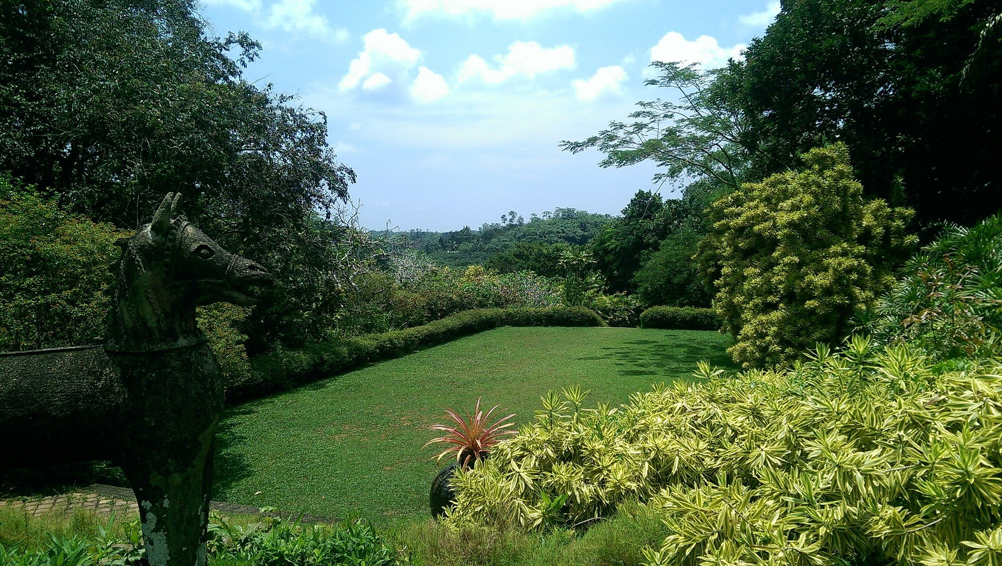 New York Times spotlights Sri Lanka's Brief Garden in artists' favourite gardens feature