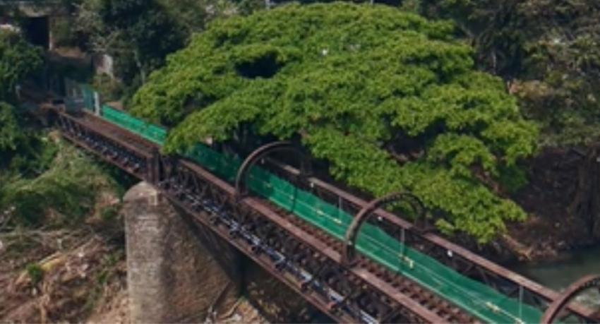 Peradeniya bridge to be completed in 4-5 months; Badulla line full restoration set for mid-2027