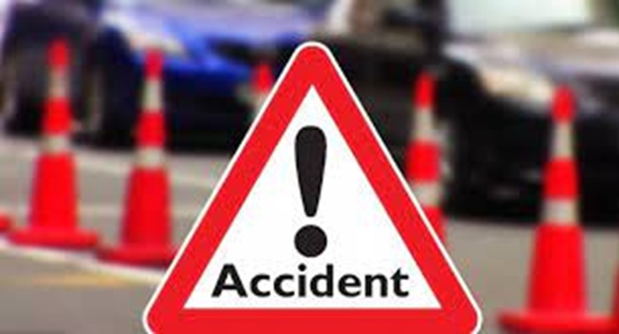 Pilgrim van collides with wild elephant at Bandanagala; woman killed, 15 injured