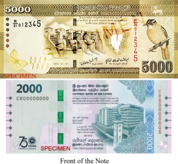Seven Arrested in Mount Lavinia, Kohuwala Raids over Counterfeit Notes and Ice