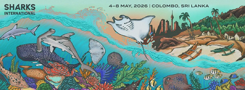 Sharks International 2026 opens in Colombo as global elasmobranch population crashes