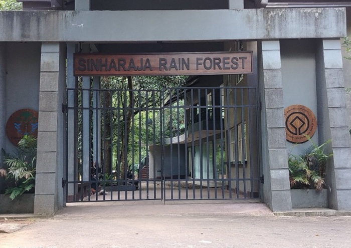 Sinharaja's Kudawa entrance closed April 10–15 for Avurudu holidays