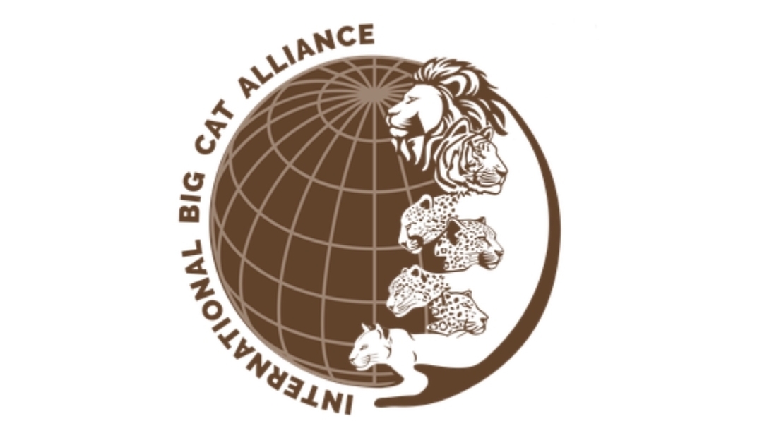Sri Lanka formally welcomed as newest member of International Big Cat Alliance
