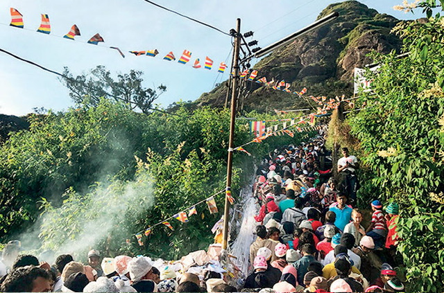 Police arrest 322 drug suspects in Sri Pada pilgrimage area since season began
