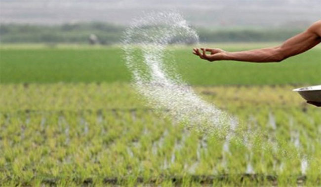 Samples of 'Substandard' Fertilizer From Thambuttegama Sent for Testing