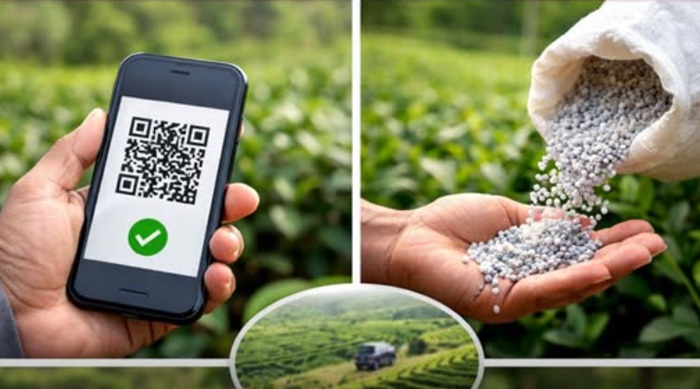 Tea Fertilizer QR Scheme Doubles Farmer Reach in Six Months, Beats Full-Year Targets