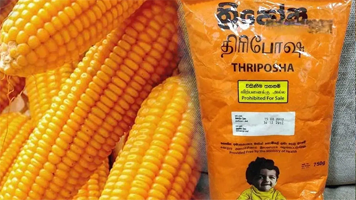 Thriposha output disrupted as 2,290 MT maize shipment stuck at port over Cabinet-approval dispute