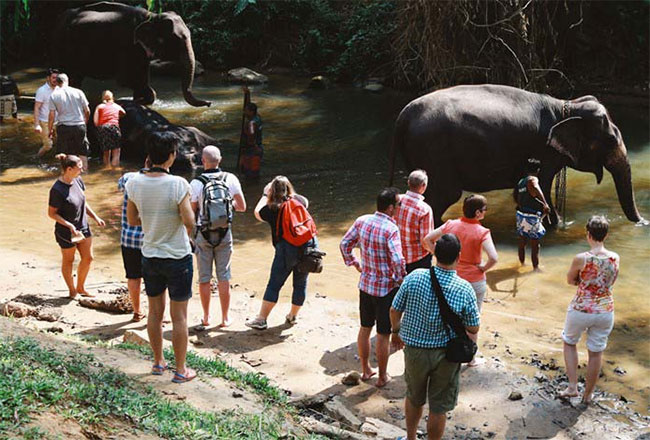 April Tourist Arrivals Cross 88,000 as India Leads with 29% Share