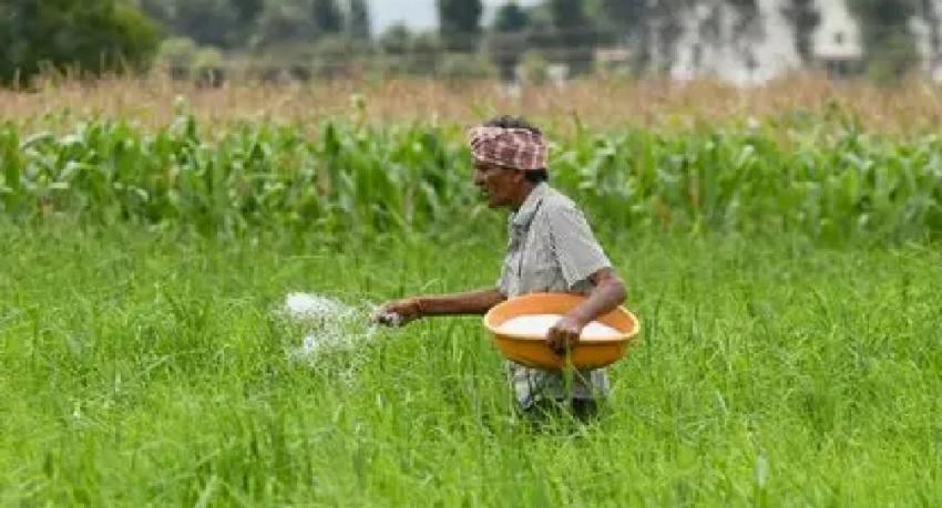 25,000 MT Urea Shipment Due Early May, Total Yala Stock to Reach 151,000 MT